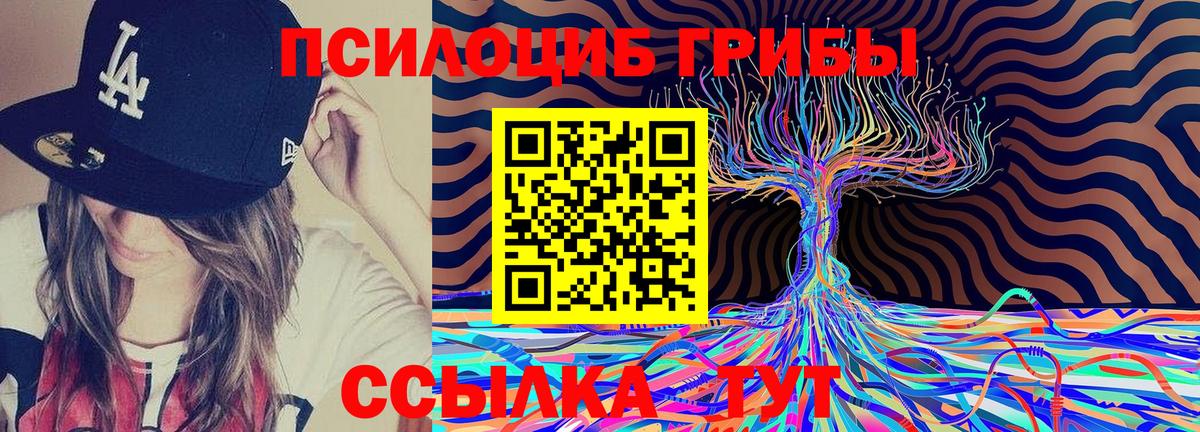 Советск  Галлюциногенные грибы Psilocybine cubensis  Вход с VPN 